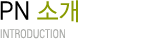 PN 소개 : introduction